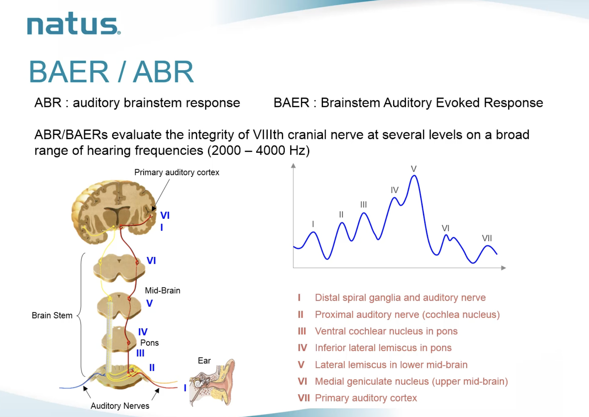 BAER/ABR Pathway
